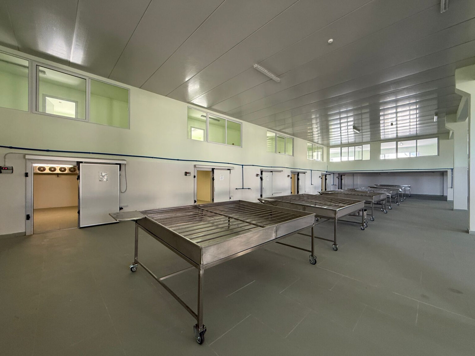 markata e peshkut (7)